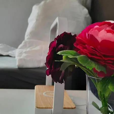 Traumwohnung Im Herzen Von Mit Riesen Balkon Apartment *